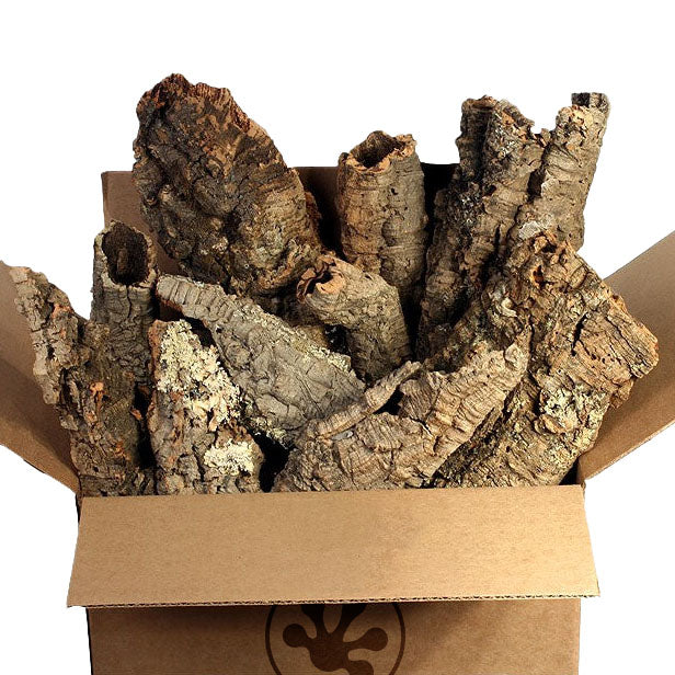 Cork Bark by the Pound - Small Rounds