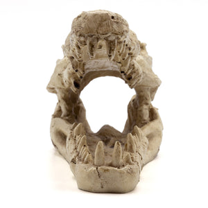 Pangea Crocodile Skull Reptile Hide from the front