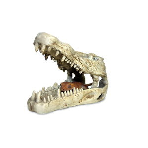 Pangea Crocodile Skull Reptile Hide - with gecko hiding.