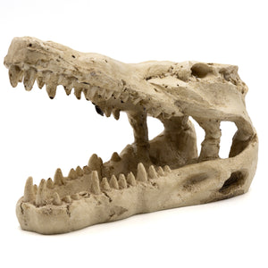 Pangea Crocodile Skull Reptile Hide viewed from the front at a slight angle