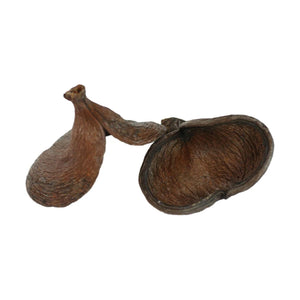 Dark Nut Pod