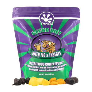 Pangea Gecko Diet with Fig & Insects™