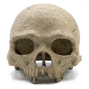 Pangea Human Skull Reptile Hide front view