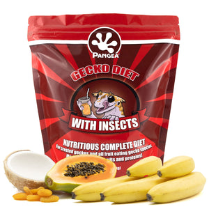 Pangea Gecko Diet with Insects™