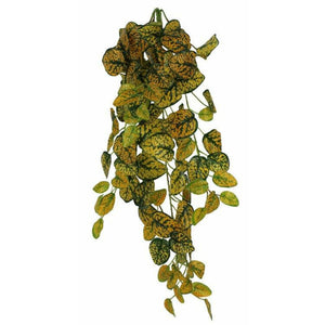 Pangea Japanese Laurel Hanging Bush - 24"