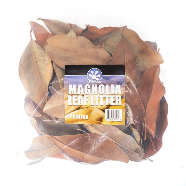 Southern Magnolia Leaf Litter - Large Box (FREE SHIPPING)