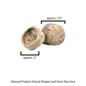 Sizes for the Pangea Mayan Seed Pod.