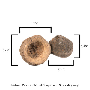 Pangea Monkey Pod sizes