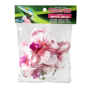 Pangea Hanging Orchids White - in package.