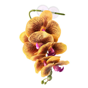 Pangea Hanging Orchids - Yellow