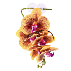 Pangea Hanging Orchids Yellow - climbing gecko.