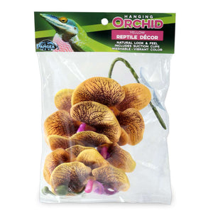 Pangea Hanging Orchids Yellow - package.