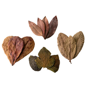 Pangea Leaf Litter Decor