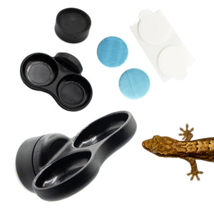 Contents of the Pangea MciroDish Dual Surface Mount Kit with image of example gecko.