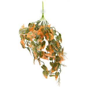 Pangea Plant Orange