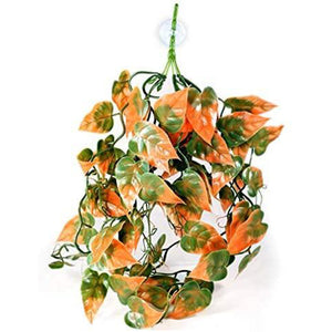 Pangea Plant Orange