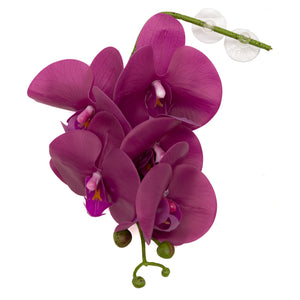 Pangea Purple Orchid alternate angle.