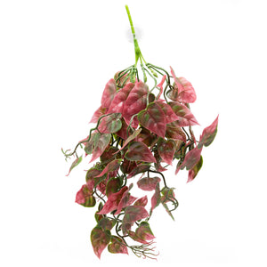 Pangea Plants - Red