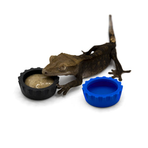 Pangea Silicone Bottle Cap Gecko Feeding Dish - black and blue dishes with dark colored crested gecko.