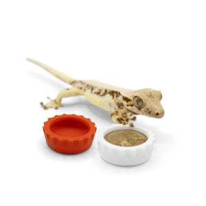 Pangea Silicone Bottle Cap Gecko Feeding Dish - white and red dishes with light colored crested gecko.