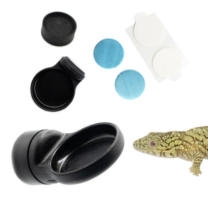 Pangea MicroDish Surface Mount Kit Small - contents with reptile.