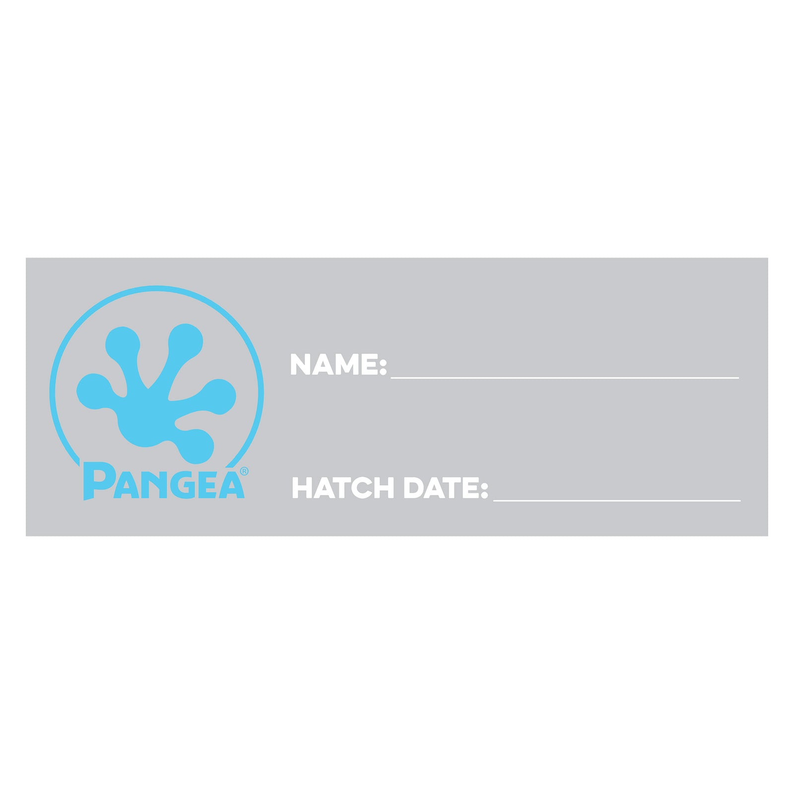 Pangea 24 Steel Snake Hook, Tools