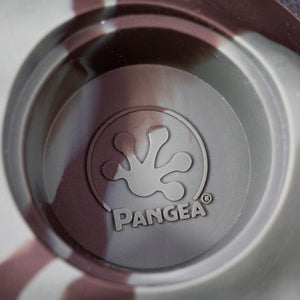 Pangea Ultimate Eco Dish  - close up details.