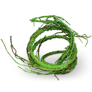 Pangea Ultimate Reptile Vine Green - coiled.