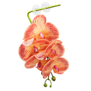 Pangea Hanging Orchids - Orange and Yellow