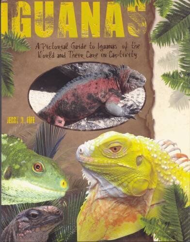 A Pictorial Guide to Iguanas of the World and Their Care in Captivity