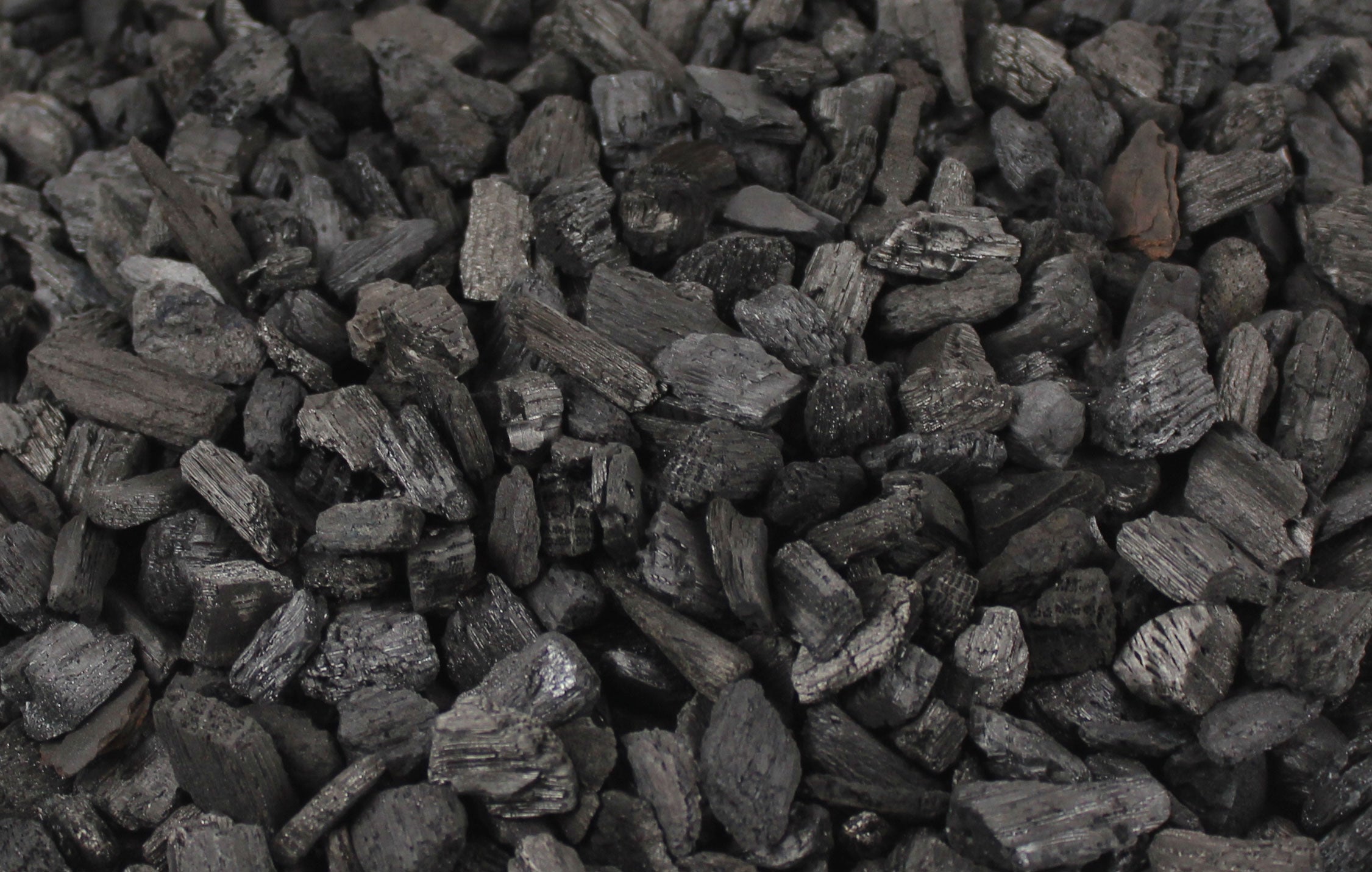 pangea coal