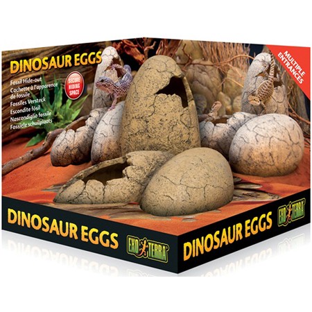 Dinosaur Eggs