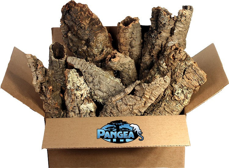 Pangea Cork Background, Reptile Habitat Backgrounds