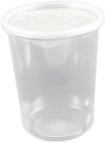 https://www.pangeareptile.com/cdn/shop/products/fruit-fly-cup-with-lid-on_1600x.jpg?v=1556559018