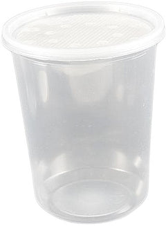 32 oz. Disposable Fruit Fly Container with vented lid - 10 pack
