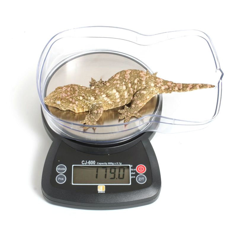 Komodo Reptile Snake Vivarium Digital Weighing Weight Scales up to 5 Kg  82425 for sale online