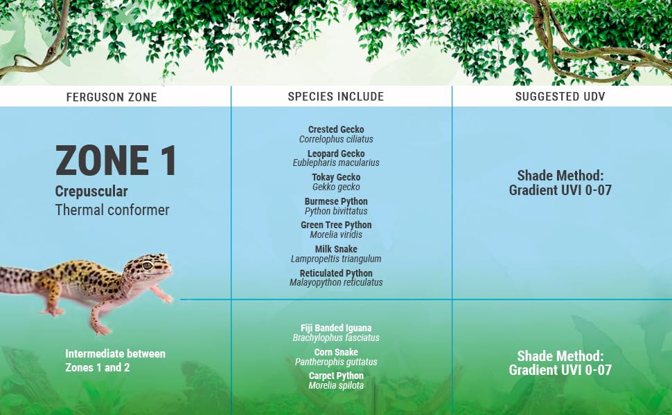 Reptile Systems Eco Pro T5 Fixture- Zone 1 | UVB Lighting | Pangea